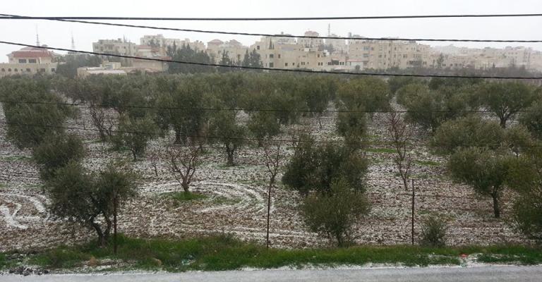 أجواء غائمة وباردة جداً واستمرار تساقط الثلوج على ارتفاع 700 متر أجواء غائمة وباردة جداً واستمرار تساقط الثلوج على ارتفاع 700 متر