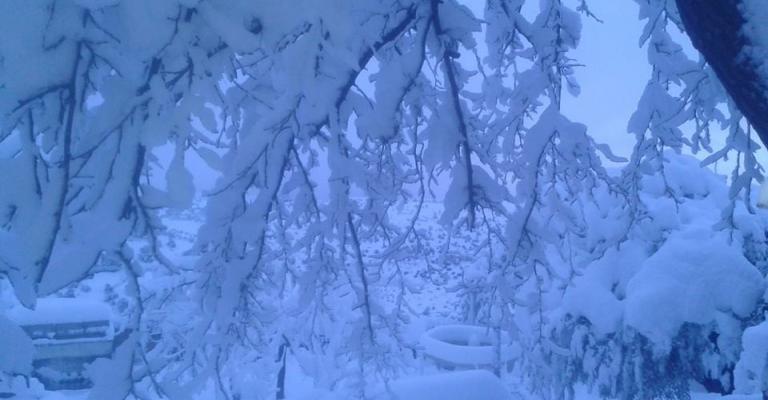 ثلوج أمس واليوم الخميس في بلدة كفر خل - جرش - تصوير صلاح محاسنة