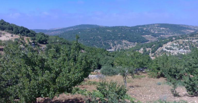 طقس دافئ والحرارة في عمان بين 19 و 9