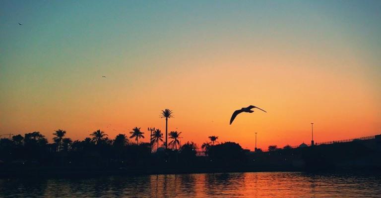 بحيرة خالد - الشارقة - تصوير محمد أبو عرب