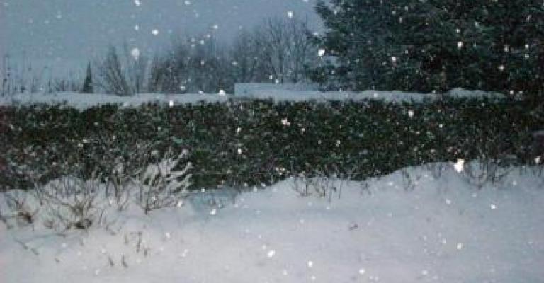 طقس بارد و ثلوج على المرتفعات طقس بارد و ثلوج على المرتفعات