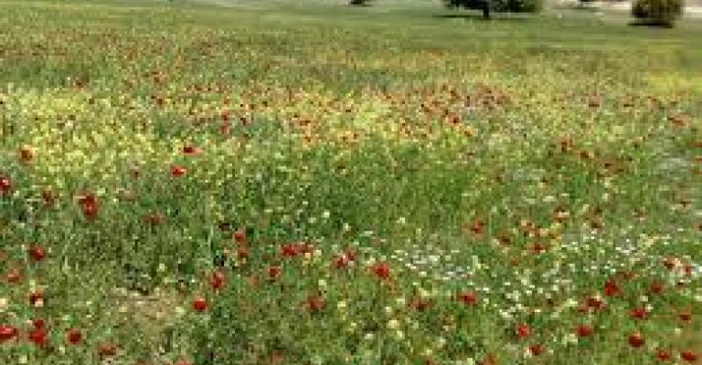 واقع التسهيلات البيئية ومدى توفيرها (2)