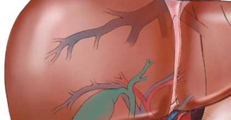 180 اصابة بمرض الكبد الوبائي" ب" سنويا في الزرقاء