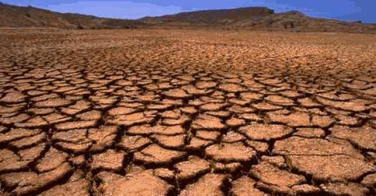 تحذيرات من امتداد الأراضي الصحراوية إلى الرقعة الخضراء