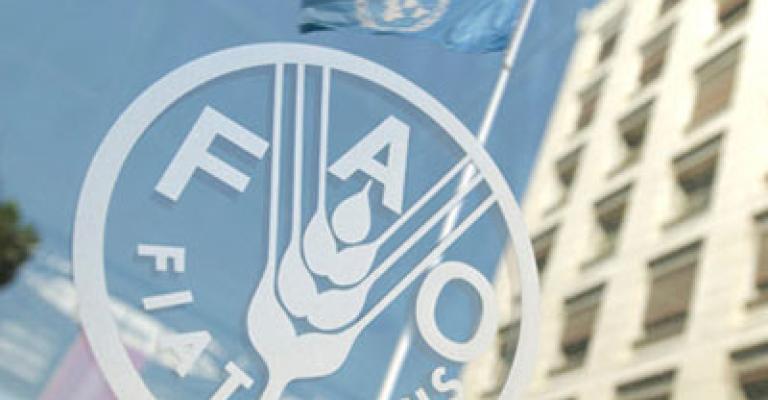 "الفاو": الأزمة السورية تخلف نحو 10 مليون شخص غير آمن غذائياً "الفاو": الأزمة السورية تخلف نحو 10 مليون شخص غير آمن غذائياً