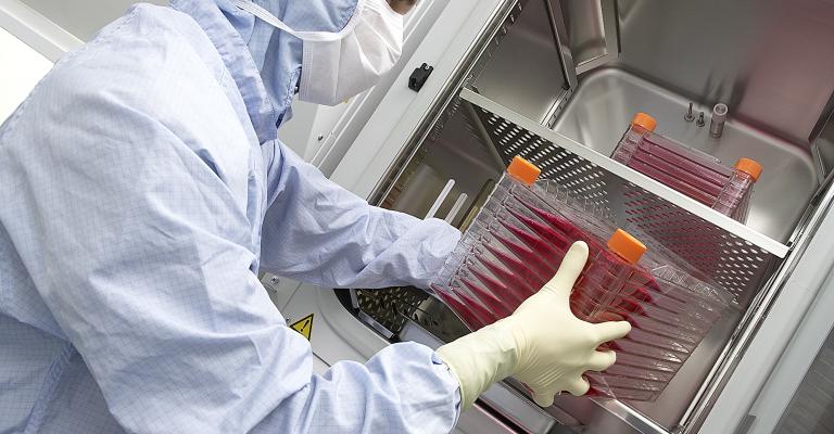 نقل الخلايا الجذعية حلم الكثير من المصابين السوريين في الأردن نقل الخلايا الجذعية حلم الكثير من المصابين السوريين في الأردن