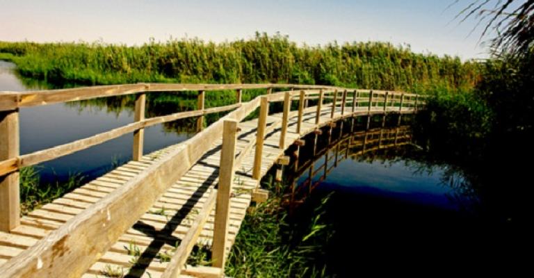 محمية الازرق تجاهد لاستعادة مياهها وطيورها المهاجرة