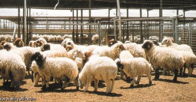 "حماية المستهلك" تطالب بالتحقق من وجود ادوية بيطرية منتهية الصلاحية