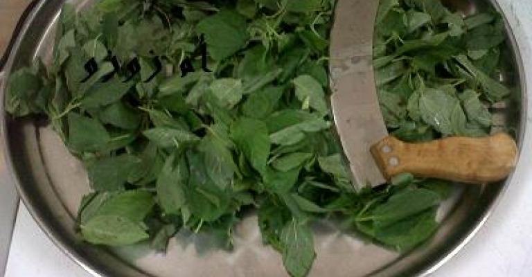 موسم الملوخية.. لمّة للجارات وهدايا للغائبين