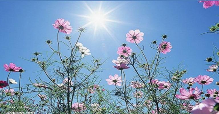 أجواء ربيعية في مختلف المحافظات أجواء ربيعية في مختلف المحافظات