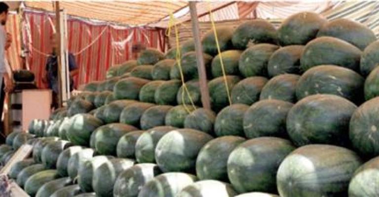 الموافقة على 120 طلبا لبيع البطيخ والشمام في العاصمة الموافقة على 120 طلبا لبيع البطيخ والشمام في العاصمة