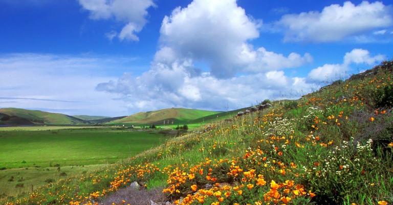 طقس لطيف طقس لطيف