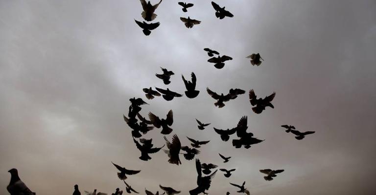 طقس لطيف مع بداية الأسبوع طقس لطيف مع بداية الأسبوع