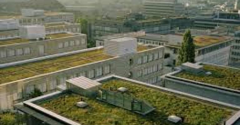 زراعة اسطح المنازل والأثر البيئي