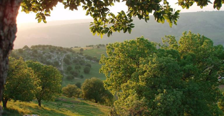 أجواء لطيفة اليومين المقبلين