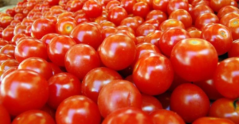 انهيار في أسعار البندورة في السوق المركزي