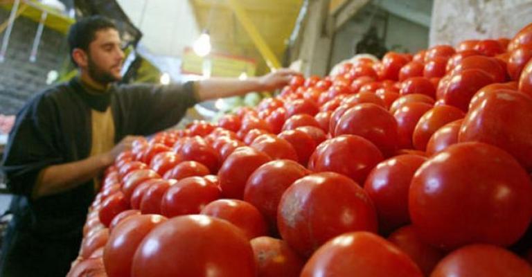 العدوان: ارتفاع الحرارة زاد إنتاج الخضارعلى حساب الجودة