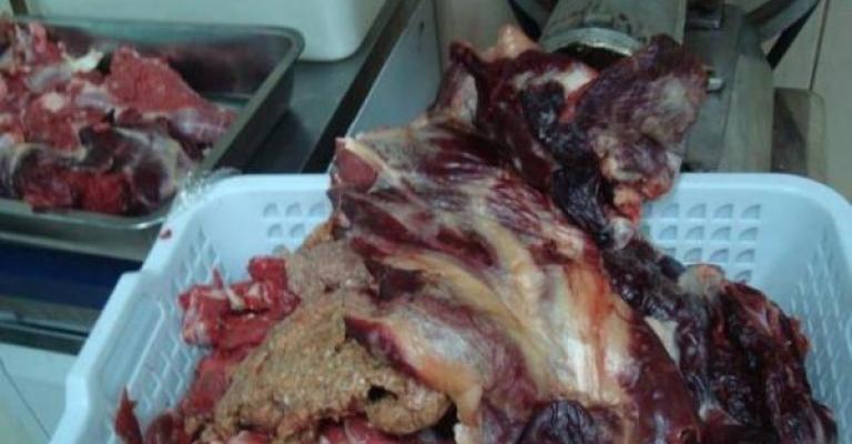 ضبط لحوم ومواد فاسدة في الزرقاء ضبط لحوم ومواد فاسدة في الزرقاء