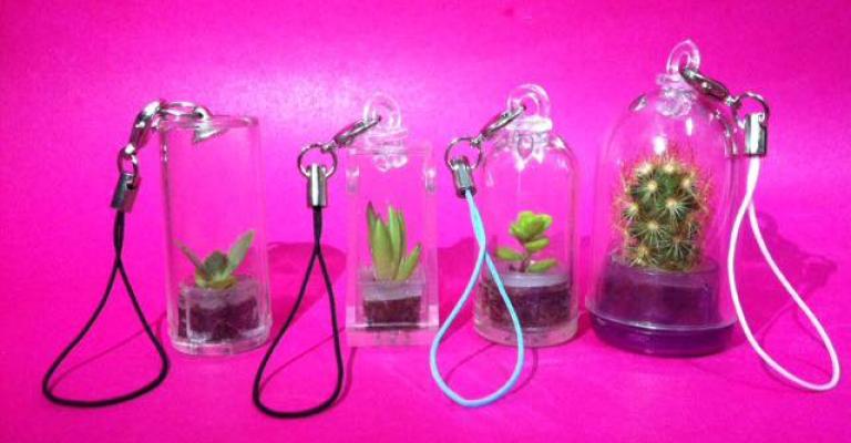 "وجدان الشيشاني" تبدع من الصبّار تحفا فنية تنبض بالحياة” "وجدان الشيشاني" تبدع من الصبّار تحفا فنية تنبض بالحياة”