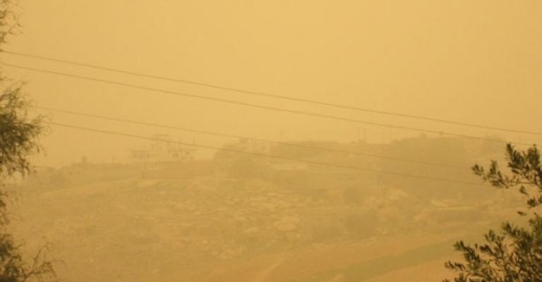 الزراعة: لا تأثير يذكر للغبار على المنتجات الزراعية