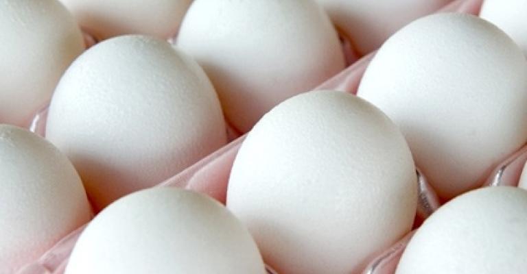 اتحاد المزارعين يستبعد انخفاض سعر البيض اتحاد المزارعين يستبعد انخفاض سعر البيض