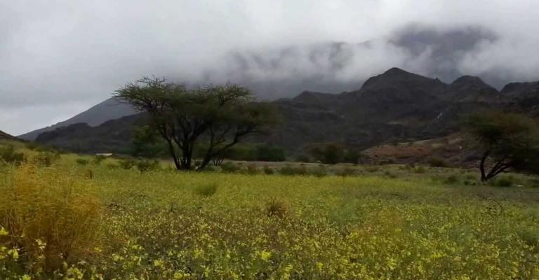 أجواء خريفية السبت أجواء خريفية السبت