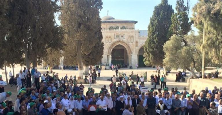 اقتحام الأقصى من بابي المغاربة والسلسلة