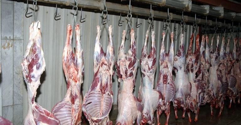 انخفاض بعدد ذبحيات مسلخ الأمانة