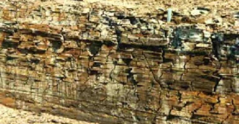 الأردن يبدأ بالتحول الموضعي للصخر الزيتي الأردن يبدأ بالتحول الموضعي للصخر الزيتي