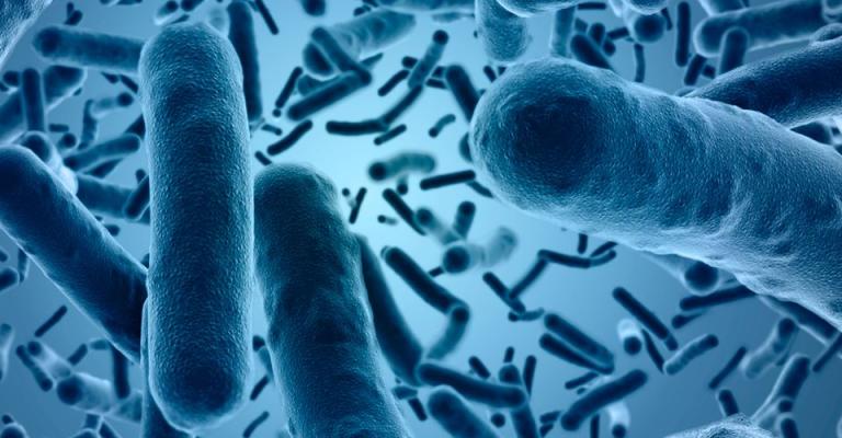 الصحة تتخذ إجراءات منعاً لانتقال الكوليرا للأردن الصحة تتخذ إجراءات منعاً لانتقال الكوليرا للأردن