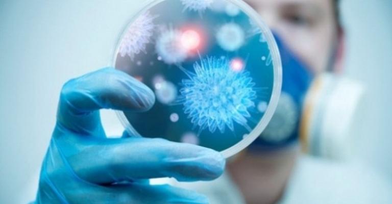 الصحة: لا إصابات جديدة بكورونا منذ بداية الشهر الصحة: لا إصابات جديدة بكورونا منذ بداية الشهر