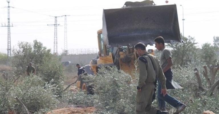 الاحتلال يصادر عشرات الدونمات بنابلس الاحتلال يصادر عشرات الدونمات بنابلس