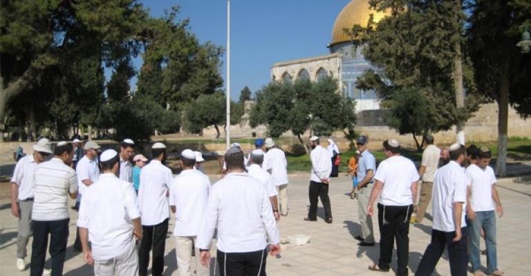 متطرفون يهود يقتحمون الأقصى متطرفون يهود يقتحمون الأقصى