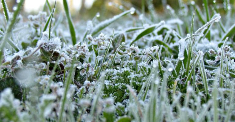 أجواء باردة نهاراً وانجماد ليلاً