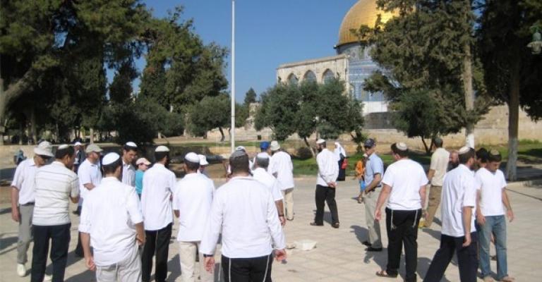 مجموعات يهودية تقتحم الأقصى مجموعات يهودية تقتحم الأقصى