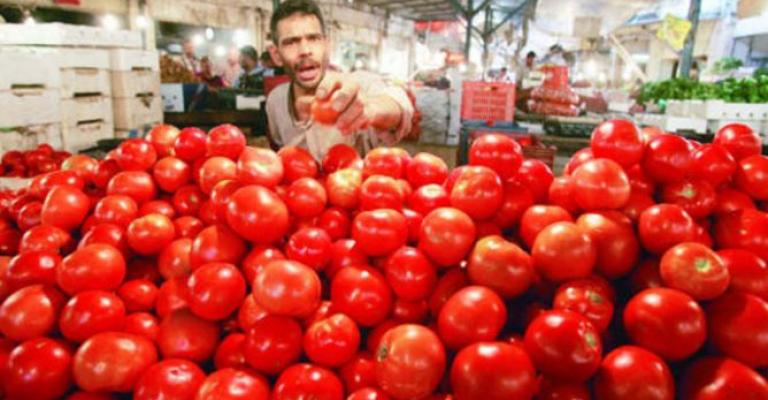 تخوفات من اختناقات تسويقية لصنف البندورة