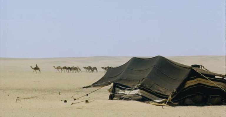 الجلوة العشائرية.. حين تزر وازرة وزر أخرى الجلوة العشائرية.. حين تزر وازرة وزر أخرى