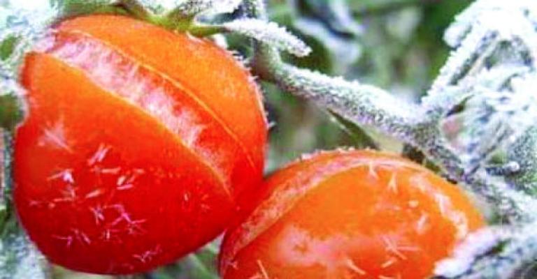 اتحاد المزارعين يطالب بإشراكه في قرار التعويض