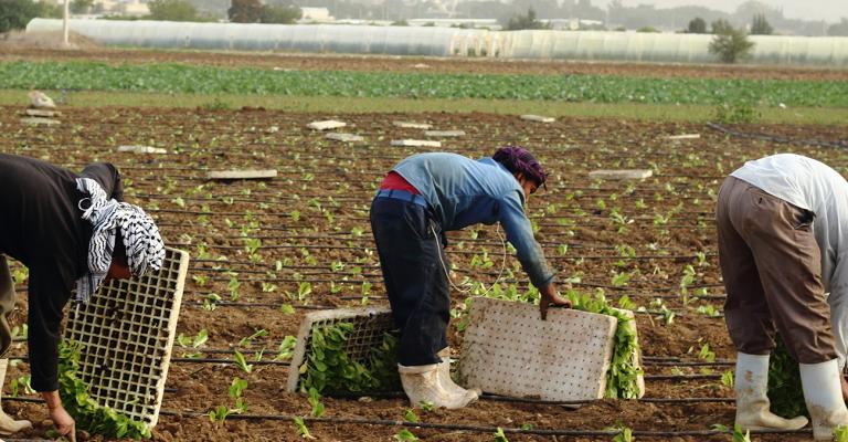 العودة للمخيم كابوس يلاحق العمالة السورية