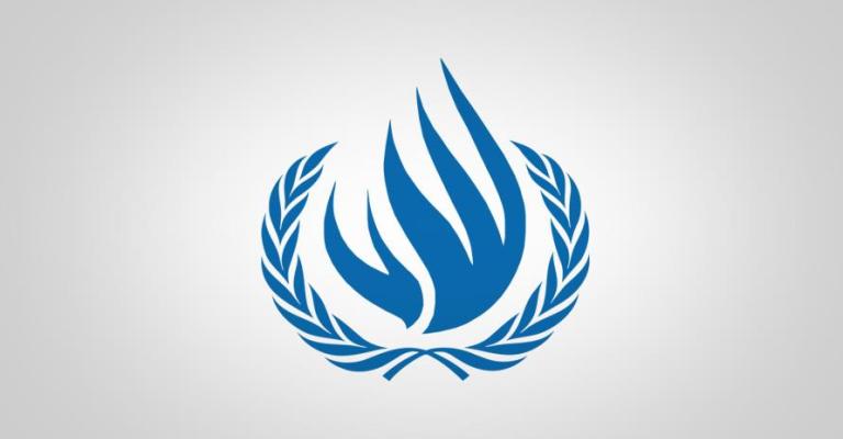 Human Rights Council Human Rights Council