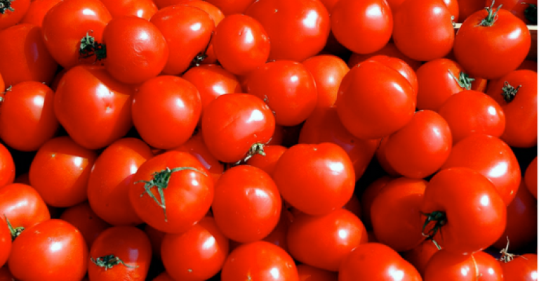 انخفاض أسعار الخضار والبندورة بـ5 قروش انخفاض أسعار الخضار والبندورة بـ5 قروش