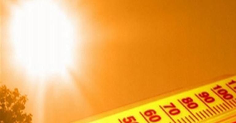 أجواء دافئة وجافة بمختلف مناطق المملكة أجواء دافئة وجافة بمختلف مناطق المملكة