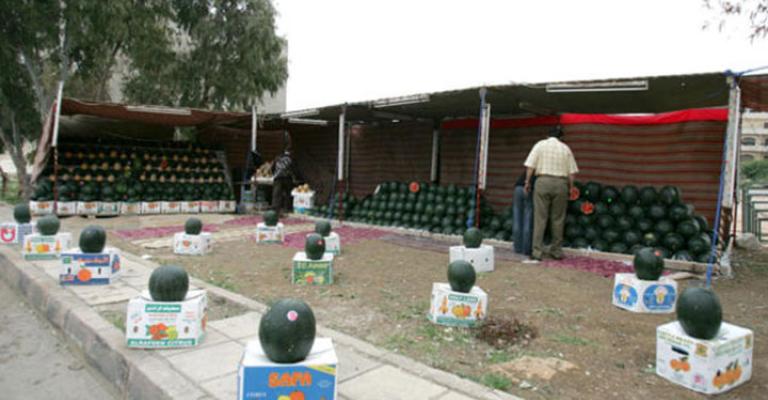 بدء استقبال طلبات تصاريح بيع البطيخ والشمام‎