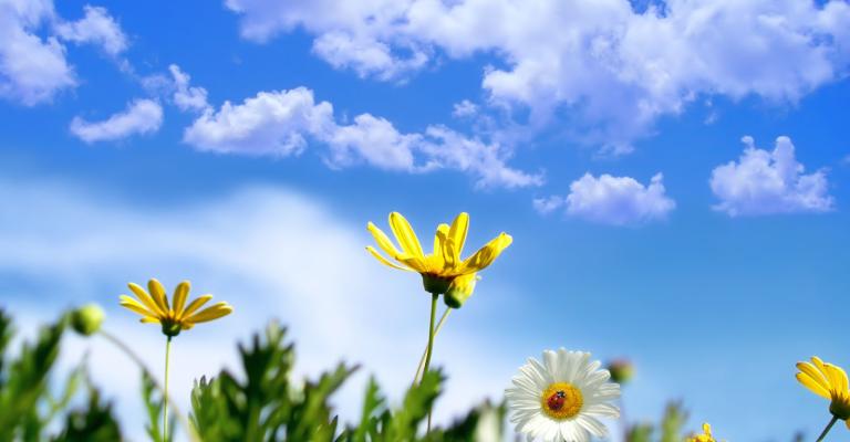 ارتفاع آخر على درجات الحرارة