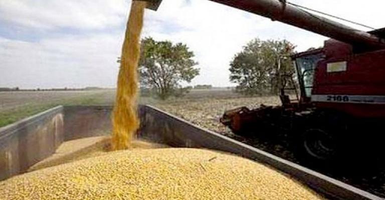 روسيا تبدي استعداداً لزيادة امداد الأردن من القمح