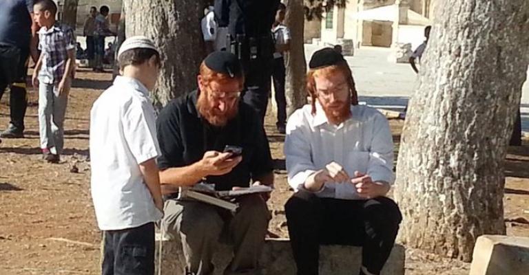 27 منظمة يهودية تدعو لاقتحام الأقصى 27 منظمة يهودية تدعو لاقتحام الأقصى