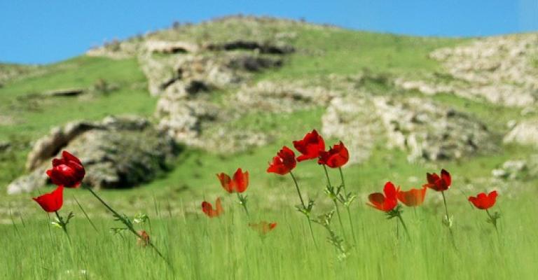 انخفاض على درجات الحرارة وأجواء ربيعية