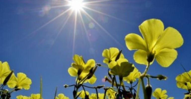 أجواء لطيفة وارتفاع على درجات الحرارة