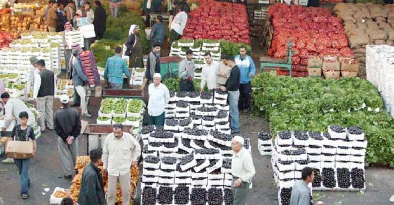 تجار الخضار يحذرون من استمرار انخفاض الأسعار