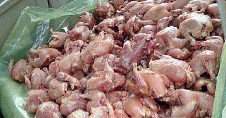 إتلاف 3 أطنان مواد غذائيّة غير صالحة للاستهلاك في إربد إتلاف 3 أطنان مواد غذائيّة غير صالحة للاستهلاك في إربد